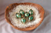 Ornament zlatý na zelené - olivy 6ks
